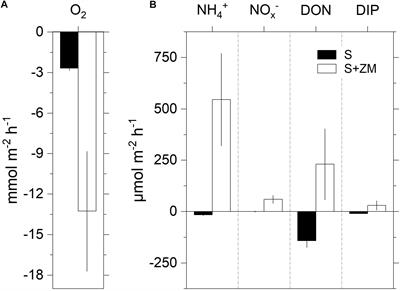 Zebra Mussel Holobionts Fix and Recycle Nitrogen in Lagoon Sediments